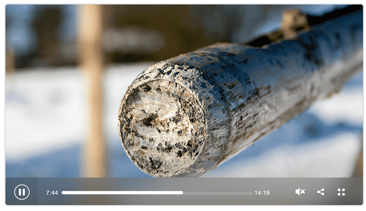 Bodengutachten Video