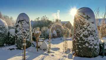 Garten im Winter