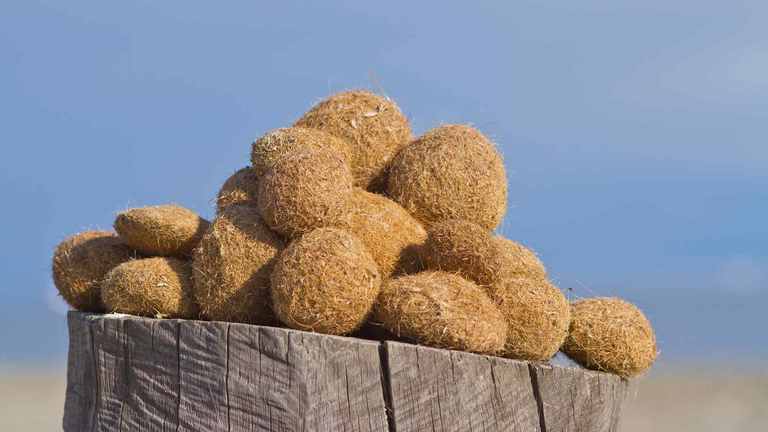 Seegras als Dämmstoff Seegras als Dämmstoff