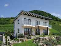 Pultdachhaus Munk