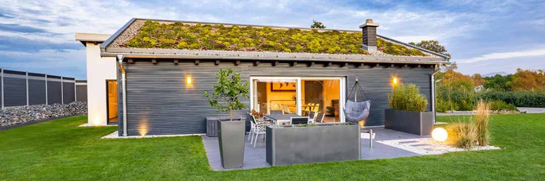 https://images.musterhaus.net/images/house/5802/luxhaus-bungalow-pultdach-135-terrasse.jpg